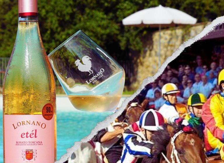آپارتمان 2 خوابه, Fattoria Lornano Winery
