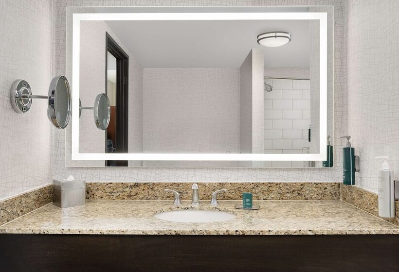 Habitació Estàndard, Doubletree By Hilton Chicago O Hare Airport  Rosemont