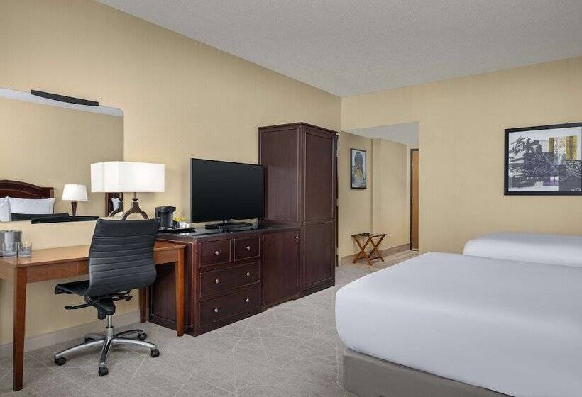 Habitació Estàndard, Doubletree By Hilton Chicago O Hare Airport  Rosemont