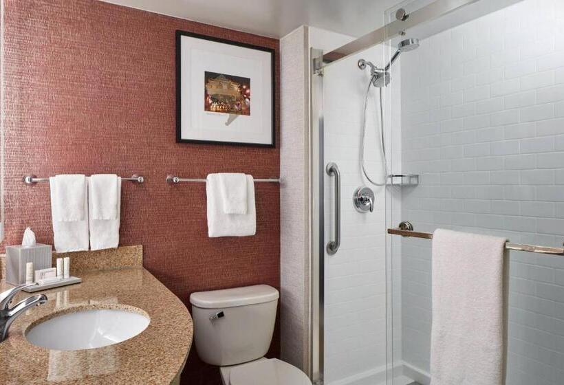 带大床的行政房间, Fairfield Inn & Suites By Marriott Washington Downtown