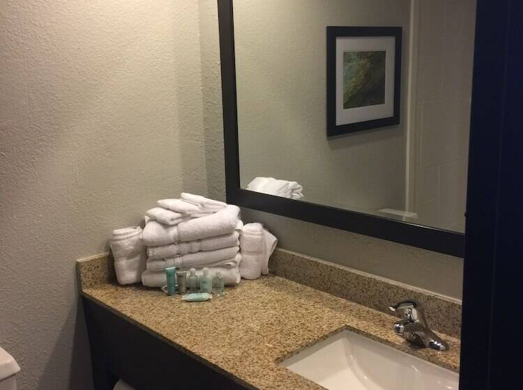 豪华房间, Wyndham Garden Hotel   Jacksonville
