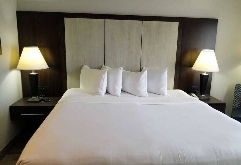 豪华房间, Wyndham Garden Hotel   Jacksonville