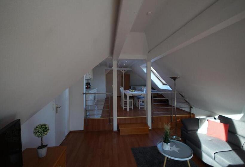 带1个卧室的豪华公寓, Aparthotel Stibbe