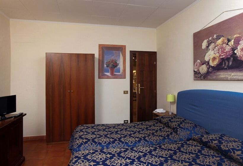 اتاق اکونومی, Bologna