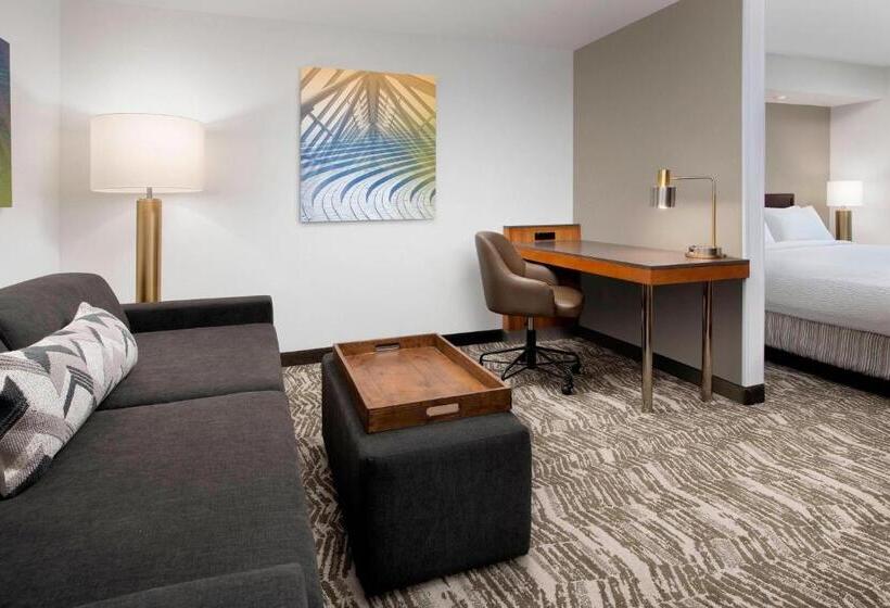 Люкс Deluxe Кровать Кинг, Springhill Suites By Marriott Portland Hillsboro