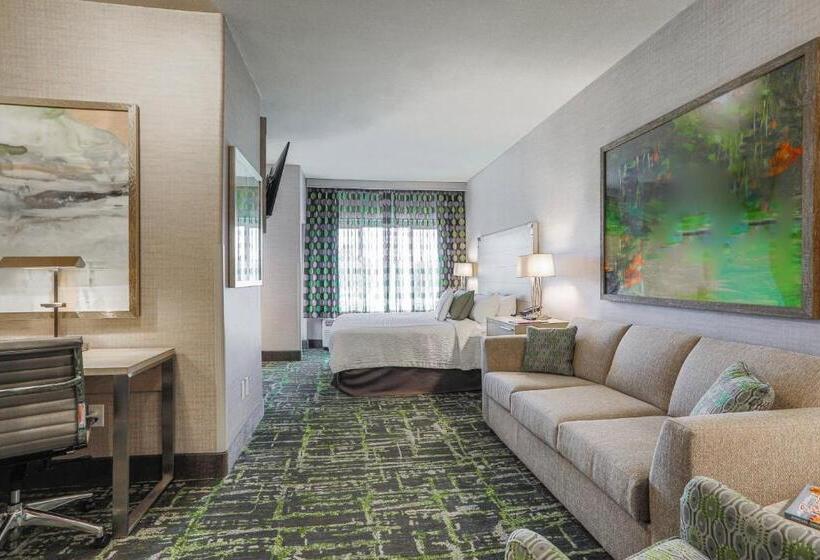 Студио Стандарт Кровать Кинг, Springhill Suites Prescott