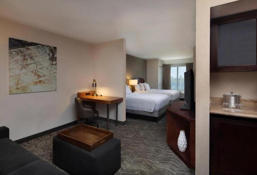 Люкс Адаптированный для Инвалидов, Springhill Suites By Marriott Tampa Westshore