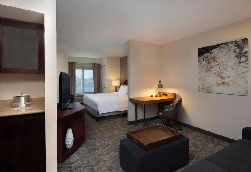 Люкс Адаптированный для Инвалидов, Springhill Suites By Marriott Tampa Westshore
