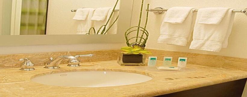 Люкс, Springhill Suites By Marriott Tampa Westshore
