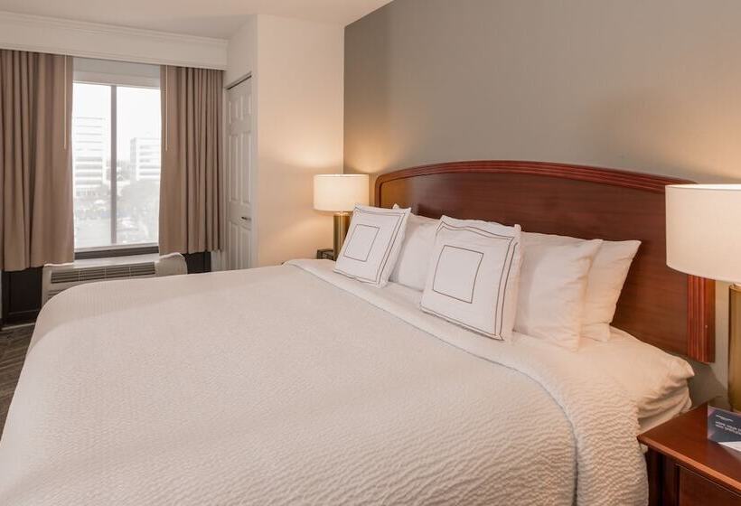Люкс, Springhill Suites By Marriott Tampa Westshore