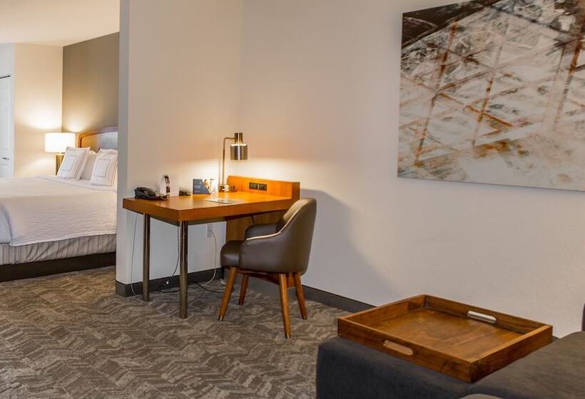 Люкс Адаптированный для Инвалидов, Springhill Suites By Marriott Tampa Westshore