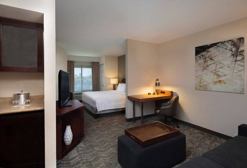 Люкс Адаптированный для Инвалидов, Springhill Suites By Marriott Tampa Westshore