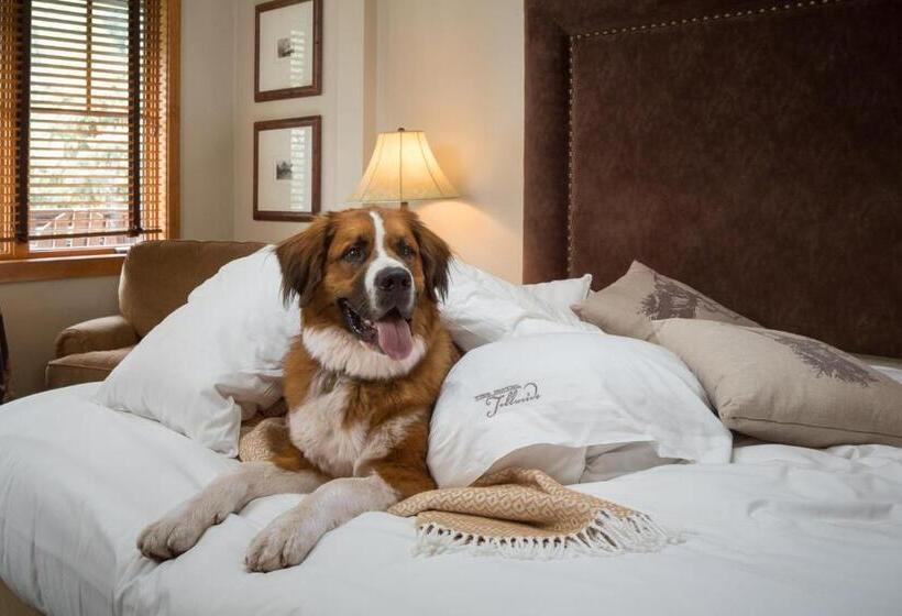חדר סטנדרט עם מיטת קינג, The Hotel Telluride