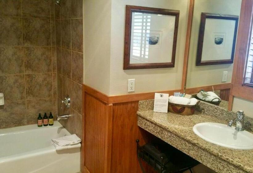 Стандартный Номер Кровать Кинг, The Hotel Telluride