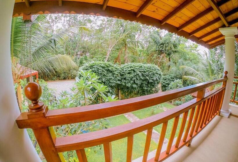 Номер Стандарт с Балконом, Terrace Garden Ayurveda Resort