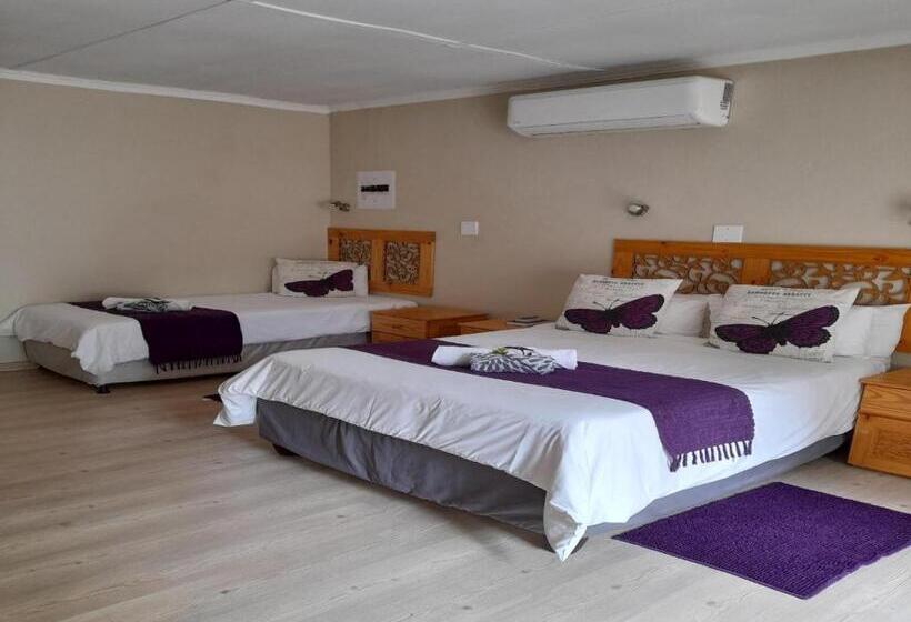 Номер Стандарт, Palms Lodge