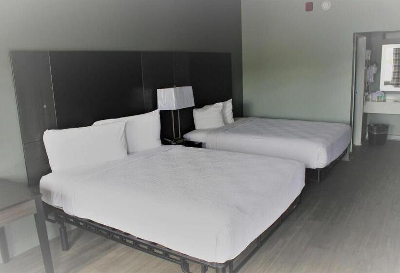 Quarto standard, Surestay Hotel By Best Western Conway