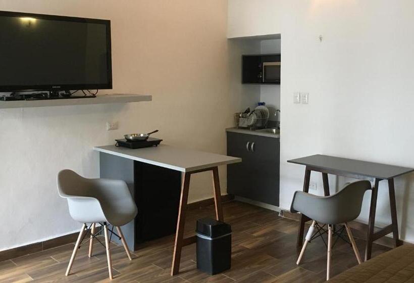 Апартаменты Deluxe 1 Спальня, Suites Del Sureste   Mérida