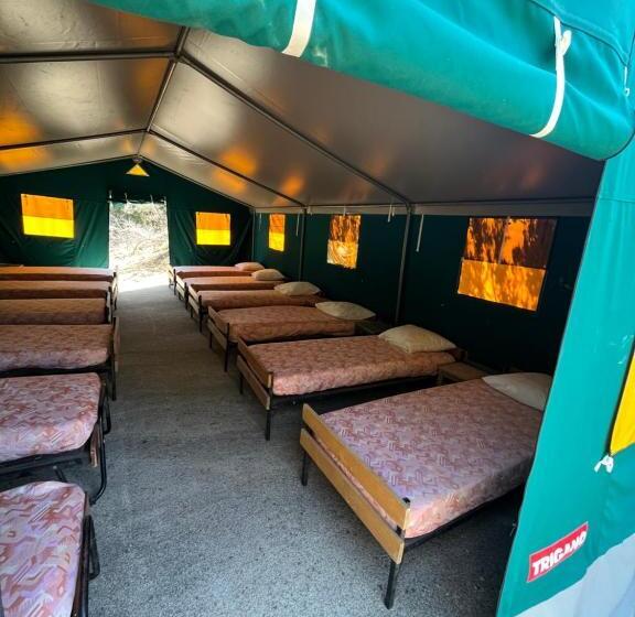 Standard Tent, Relais International De La Jeunesse