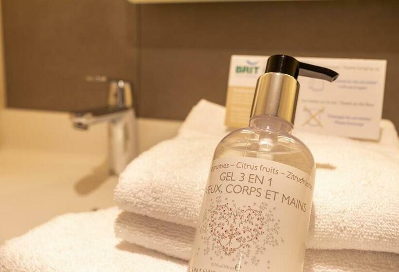اتاق سوپریور چهار تخته, Brit Hotel Ploermel   Hotel De L Hippodrome