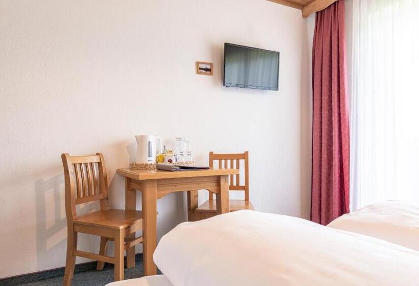 اتاق استاندارد, Mountain Fresh   Alpine Easy Stay