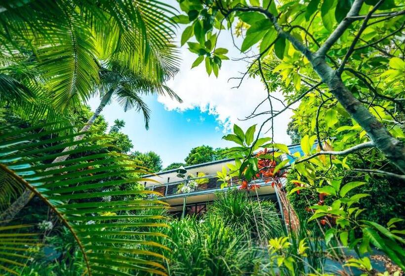 Дом 3 Спальни, Bella Vista Bellingen