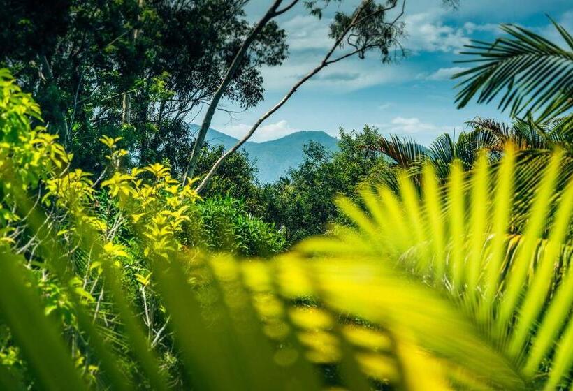 Дом 3 Спальни, Bella Vista Bellingen