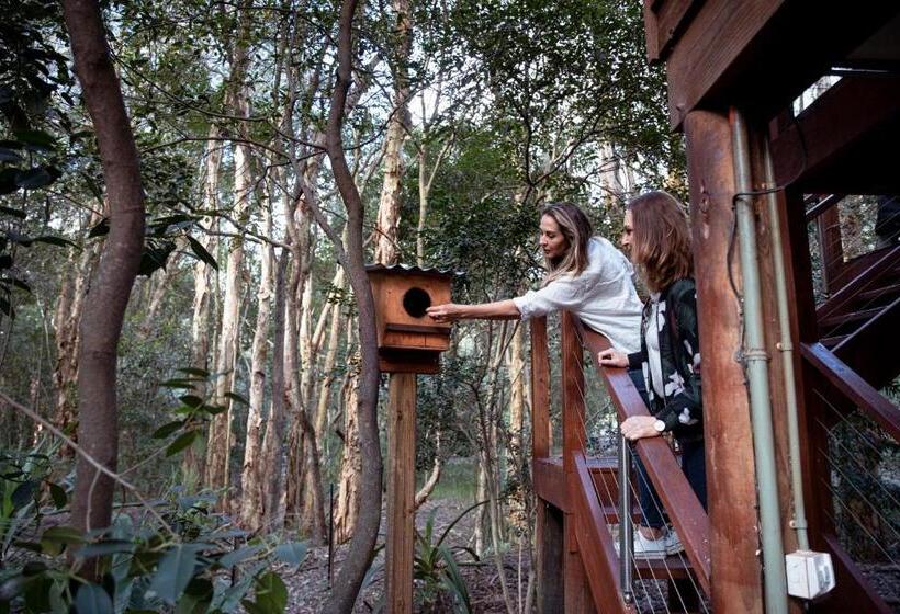 Студия Стандарт, Wanderers Retreat
