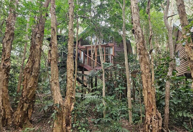 Студия Стандарт, Wanderers Retreat