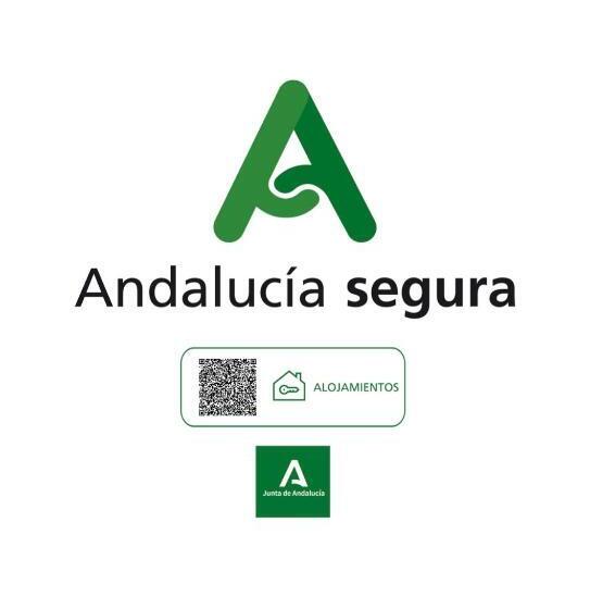 Camera Standard, Pensión Lisdos