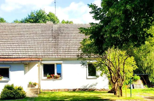 Люкс 2 Спальни, Mühle Tornow Am Wentowsee