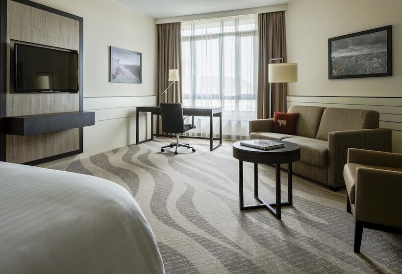 اتاق سوپریور, Munich Airport Marriott