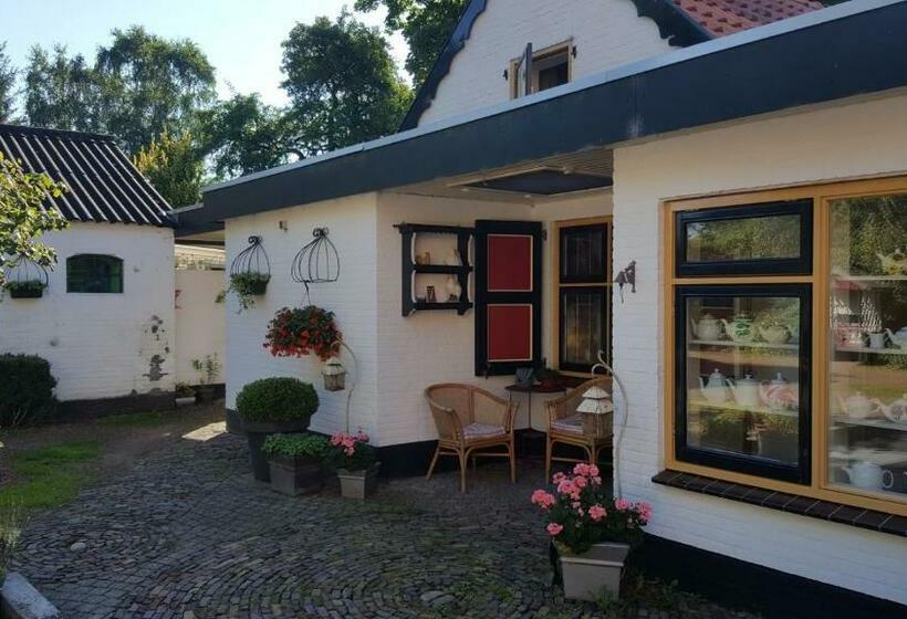 스탠다드 룸, Bloemenboerderij Aperloo