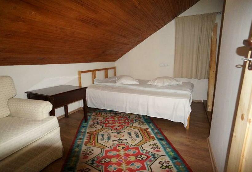 기본룸, Casa Paltinu