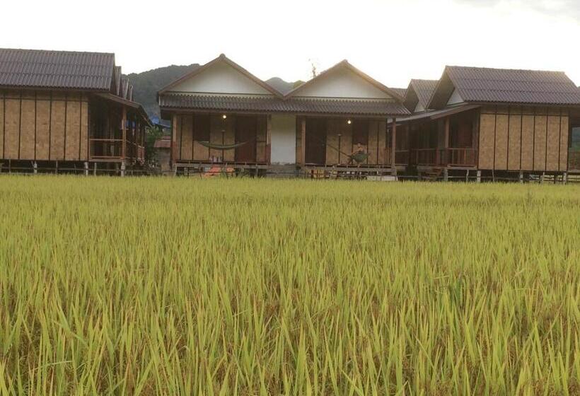Бунгало Стандарт, Thongdam Guesthouse