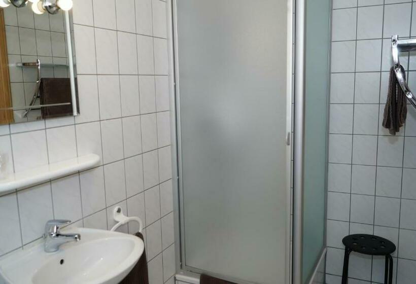 Номер Deluxe Одноместный, Landgasthof Falken