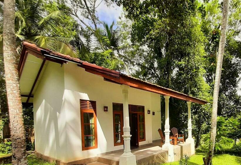 Номер Deluxe, Jackland Holiday Cabanas