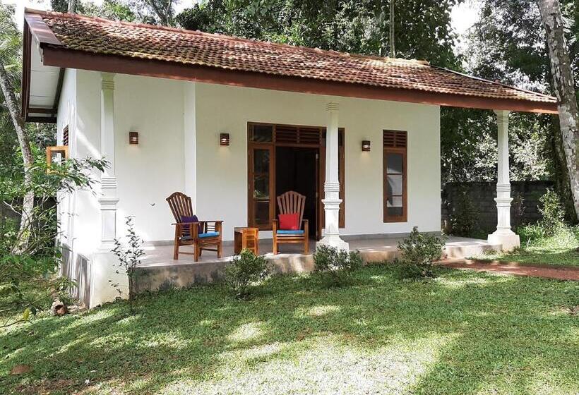 Номер Deluxe, Jackland Holiday Cabanas