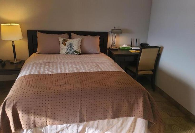 Полулюкс, Shoreside Inn & Suites