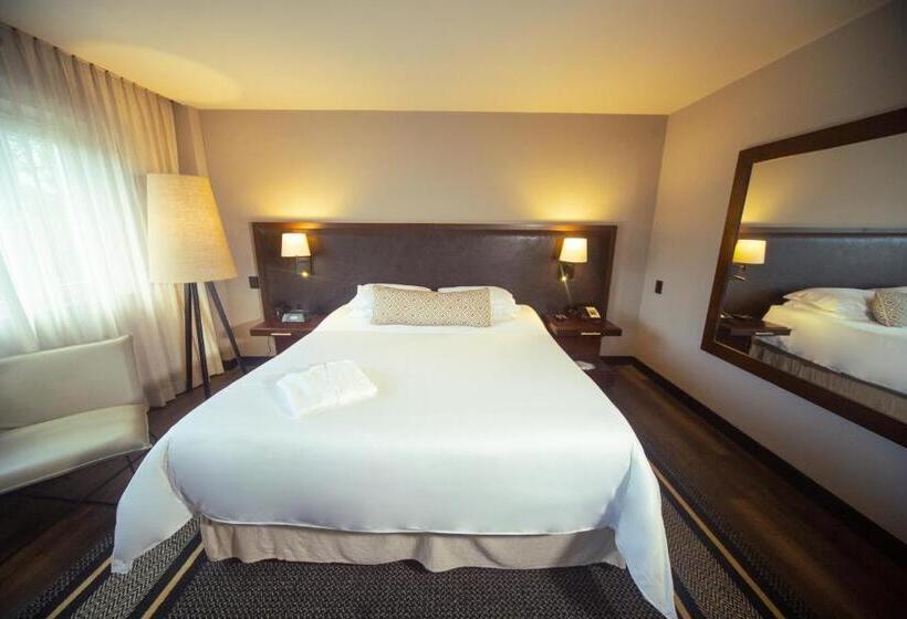 이코노미 룸, Movich Hotel Las Lomas