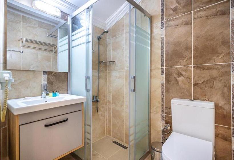 اتاق لوکس خانوادگی, Leslion Hotel Turunc