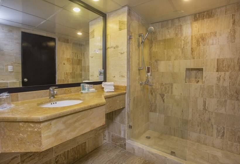 اتاق سوپریور با تخت دو نفره بزرگ, Viva Dominicus Palace By Wyndham, A Trademark All Inclusive