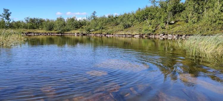 Четырехместный Номер Стандарт, Hakkesetstølen Fjellstugu