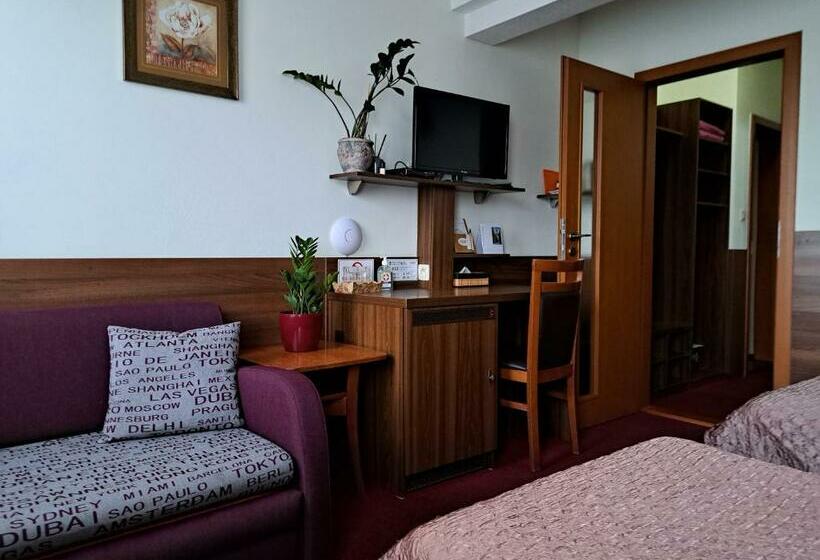 Номер Стандарт, Penzion Kozak B&b