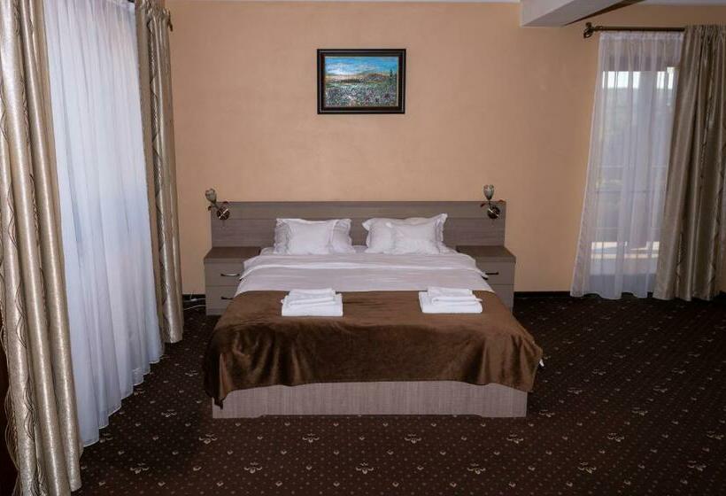 חדר סופריור עם מיטת קינג, Pensiunea Gabriel