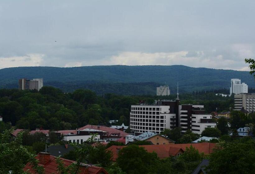اتاق استاندارد با چشم‌انداز شهر, Guest House At Lesya Ukrainka