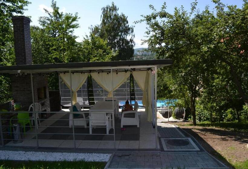 اتاق استاندارد با چشم‌انداز شهر, Guest House At Lesya Ukrainka