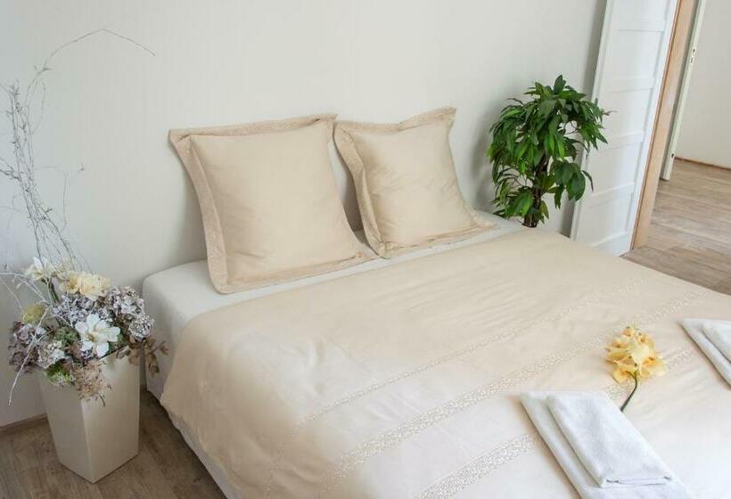 آپارتمان 1 خوابه, Penzion Apartmány Hradební