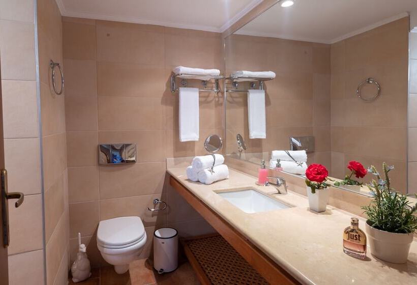 آپارتمان سوپریور 1 خوابه با چشم‌انداز دریا, Porto Sisi Hotel Apartments