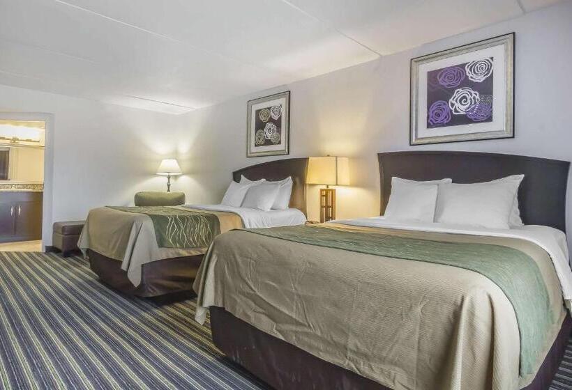Номер Стандарт, Comfort Inn & Suites